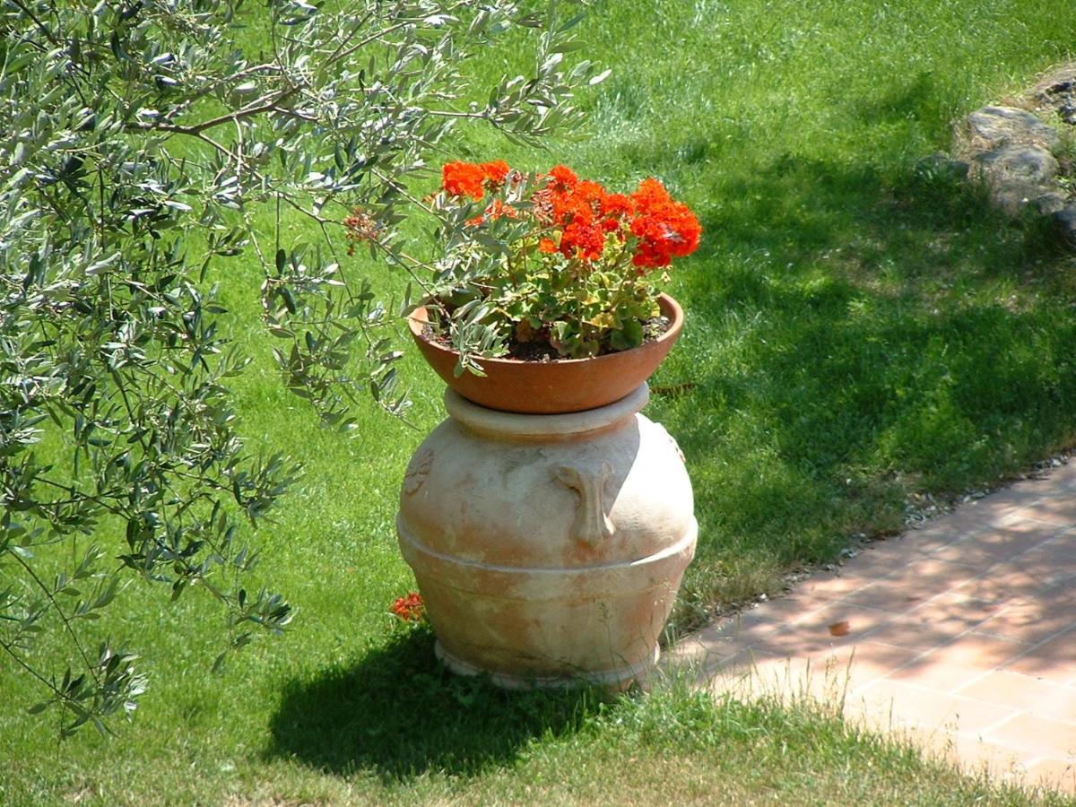 La Riserva Montebello Bolsena Kültér fotó